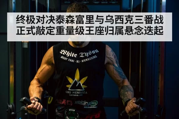 终极对决泰森富里与乌西克三番战正式敲定重量级王座归属悬念迭起