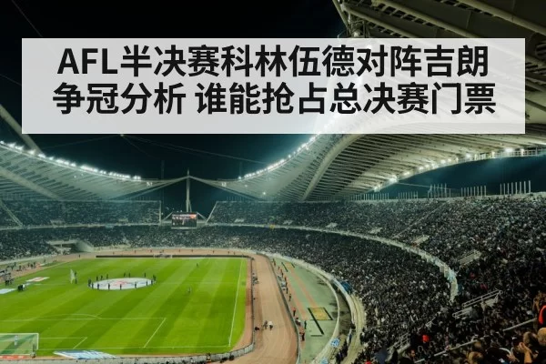 sports stadium crowd night